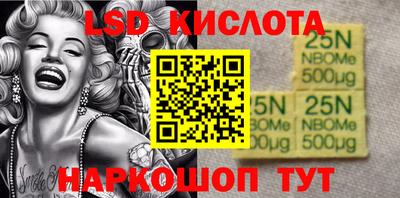 шишки Апшеронск