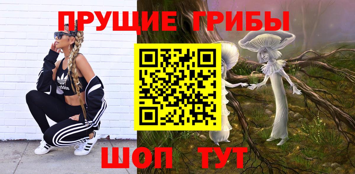 Галлюциногенные грибы Cubensis Березники