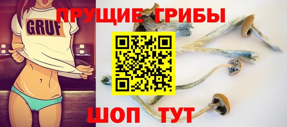 Березники  Галлюциногенные грибы Psilocybe  даркнет сайт  Вход с VPN 